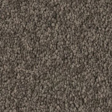 Philadelphia Champagne Taste I Carpet in Ashes, , large