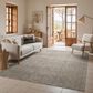 Oriental Weavers Oliver Charcoal and Beige 3"3" x 5" Area Rug, , large