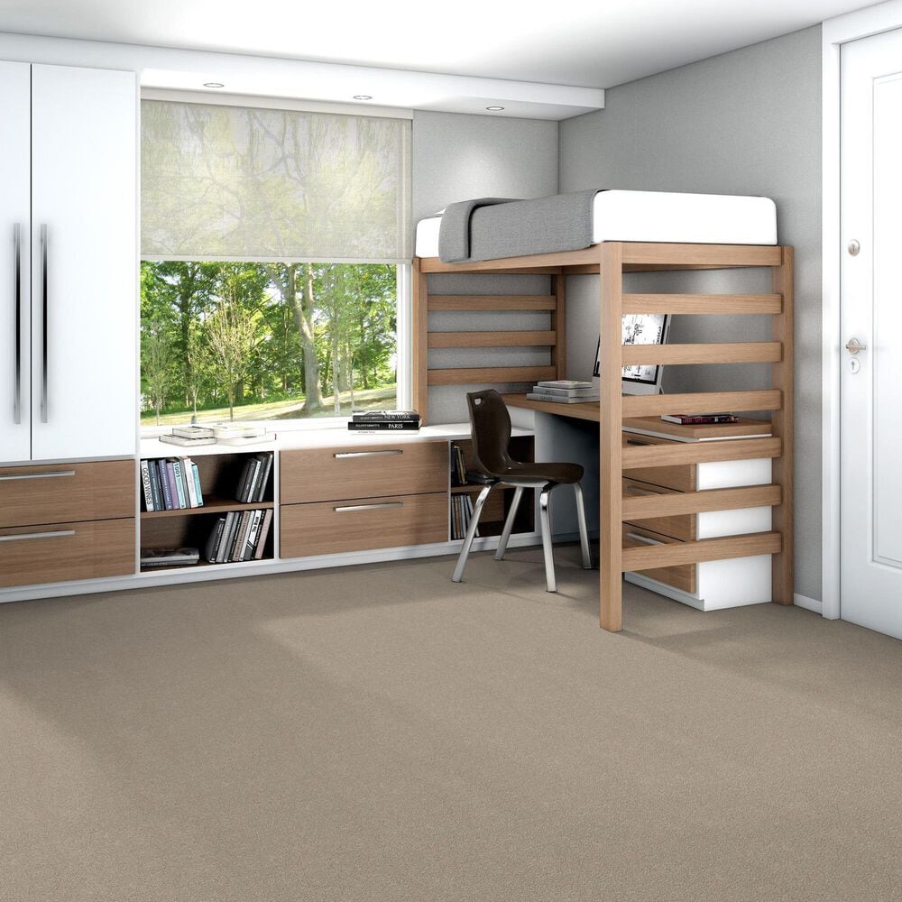 Shaw Trusplendor Carpet in Mist, , large