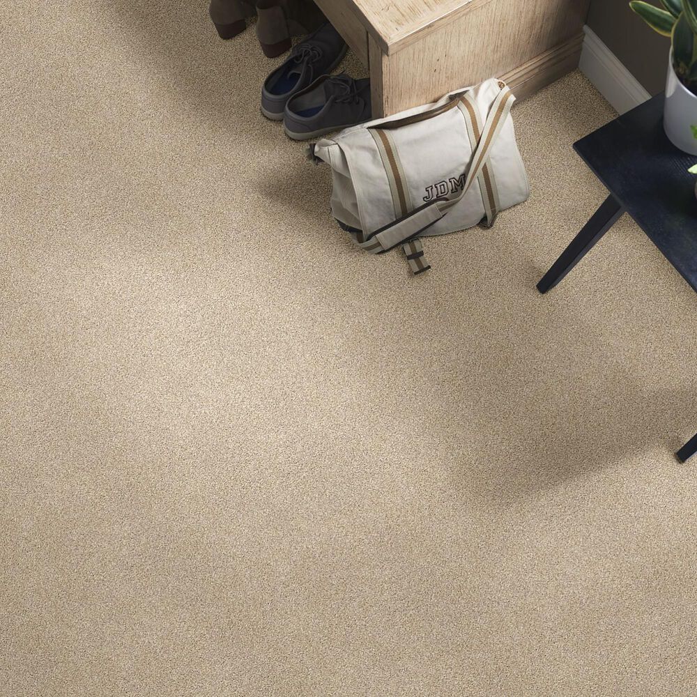 Shaw Find Your Comfort TT II Carpet in Walk on The Beach, , large