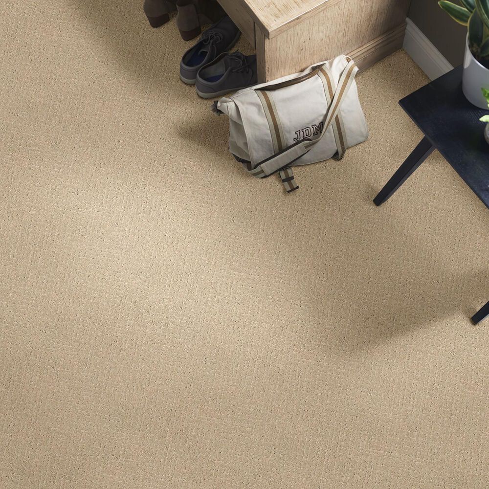 Anderson Tuftex Recital Carpet in Oak Ridge, , large