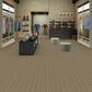 Shaw Be Present Carpet in Purpose, , large