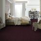 Shaw Foundation Prestigious Carpet in Passionate Plum, , large