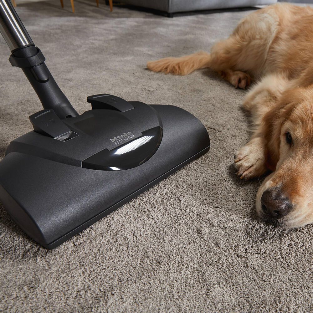 Miele Classic C1 Cat and Dog Canister PowerLine Vacuum in Lotus White, , large