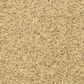 Dixie Home Debut Carpet in Pebble Mosaic, , large
