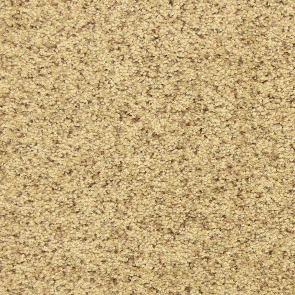 Dixie Home Debut Carpet in Pebble Mosaic, , large