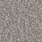 Shaw Tonal Comfort Ii Carpet in Sunday Stroll, , large