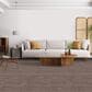 Masland Stargaze Carpet in Portobello, , large