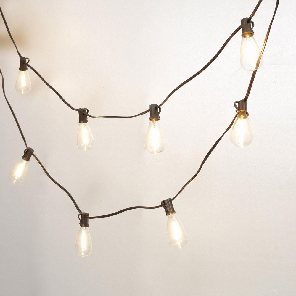 The Gerson Company Everlasting Glow 15' Patio String Lights with Long Bulbs in Brown NFM