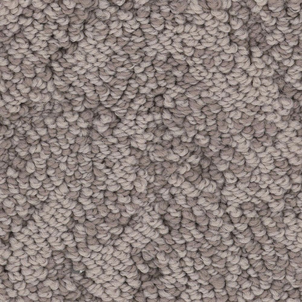 Anderson Tuftex Lavish Living Carpet in Ridgeview, , large