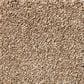 Shaw Your Comfort I Carpet in Falling Leaves, , large