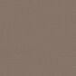 Shaw Imaginable III Carpet in Weathered, , large