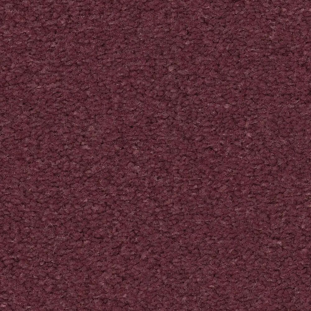 Anderson Tuftex Finery Carpet in Raspberry, , large