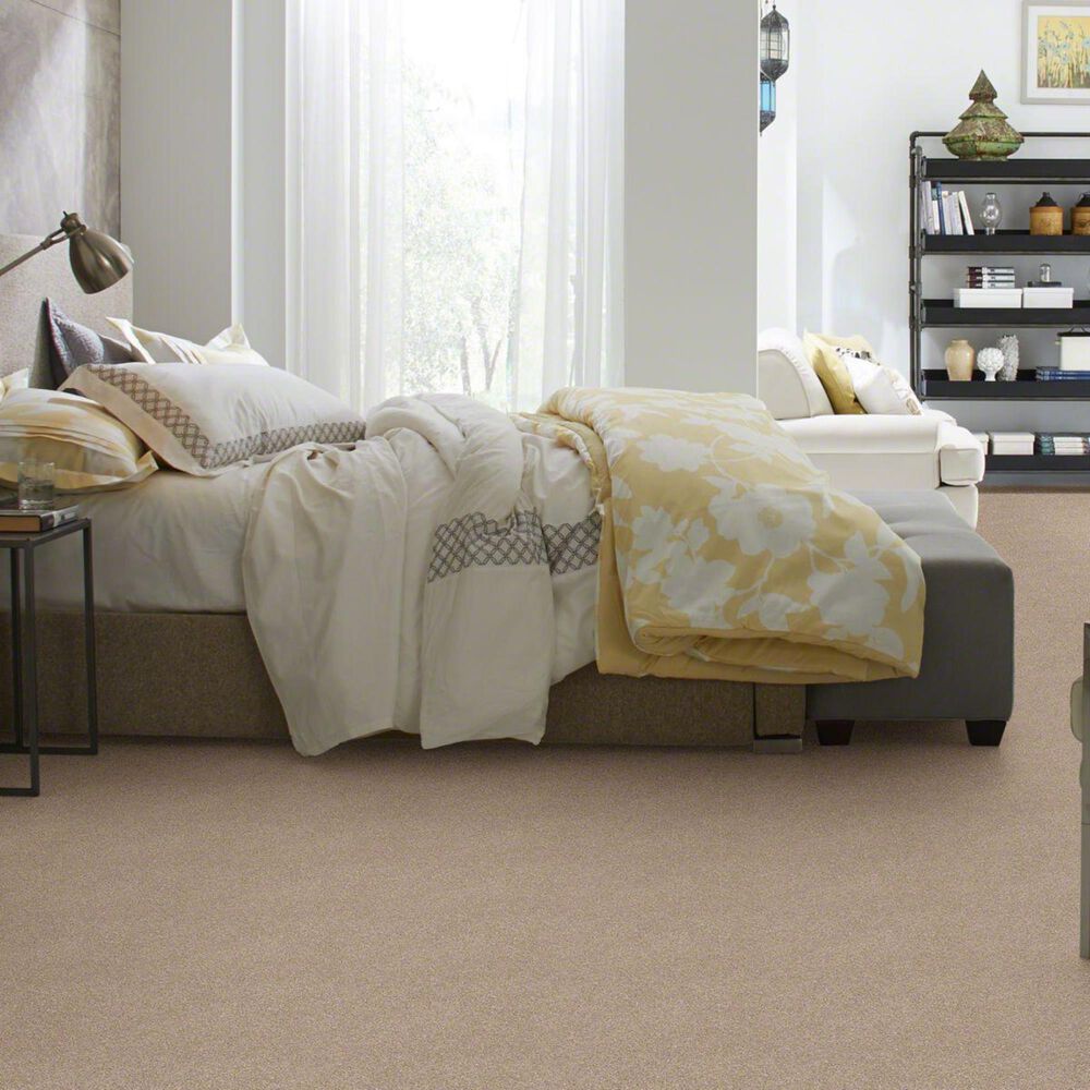 Philadelphia Basic Rules Carpet in Toast, , large