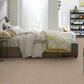 Philadelphia Basic Rules Carpet in Toast, , large