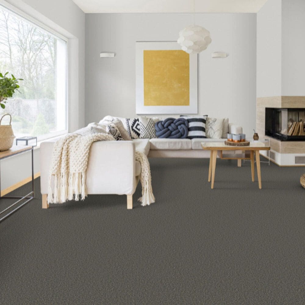 Dixie Home Riverbend Carpet in Granite, , large