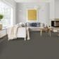 Dixie Home Riverbend Carpet in Granite, , large