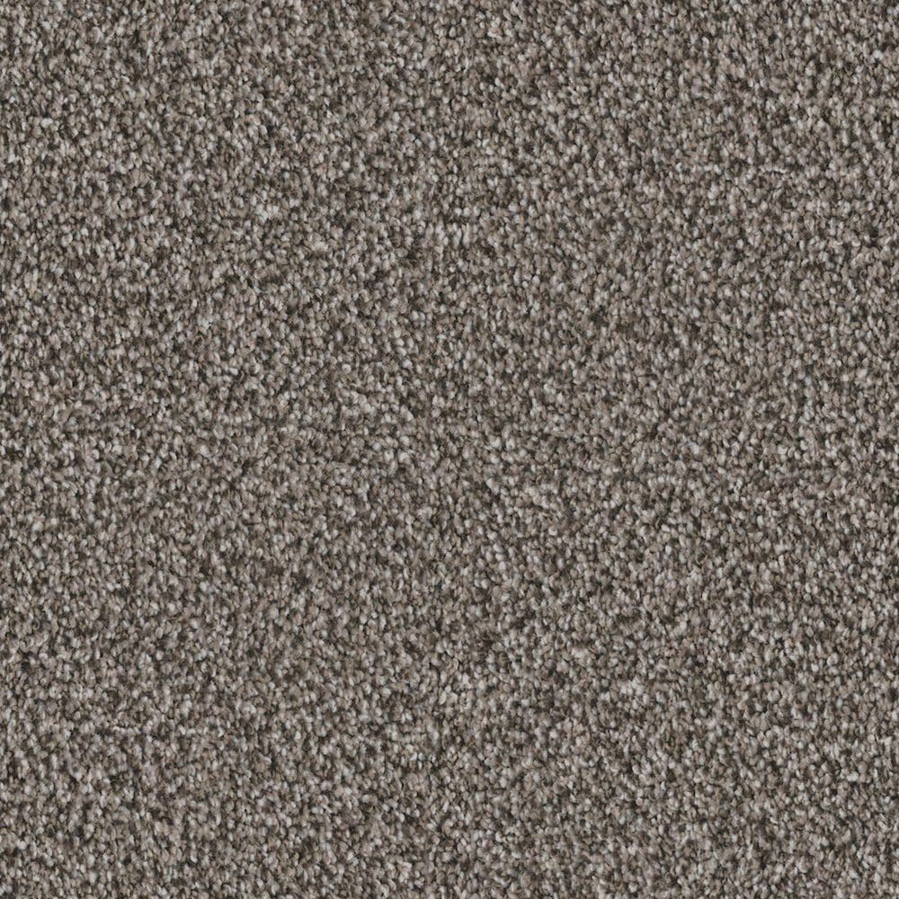 Dixie Home Admire Carpet in Hematite, , large