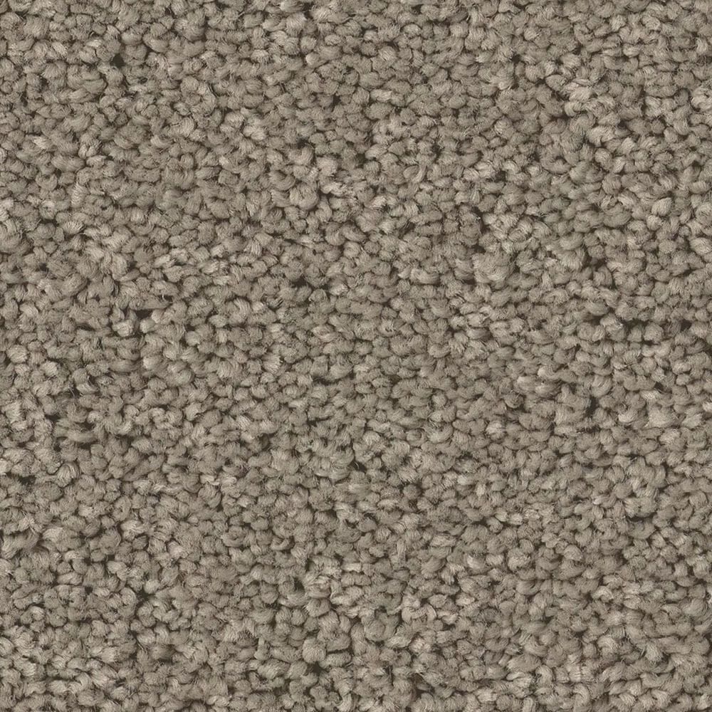 Shaw New Memories S Carpet in Pier, , large