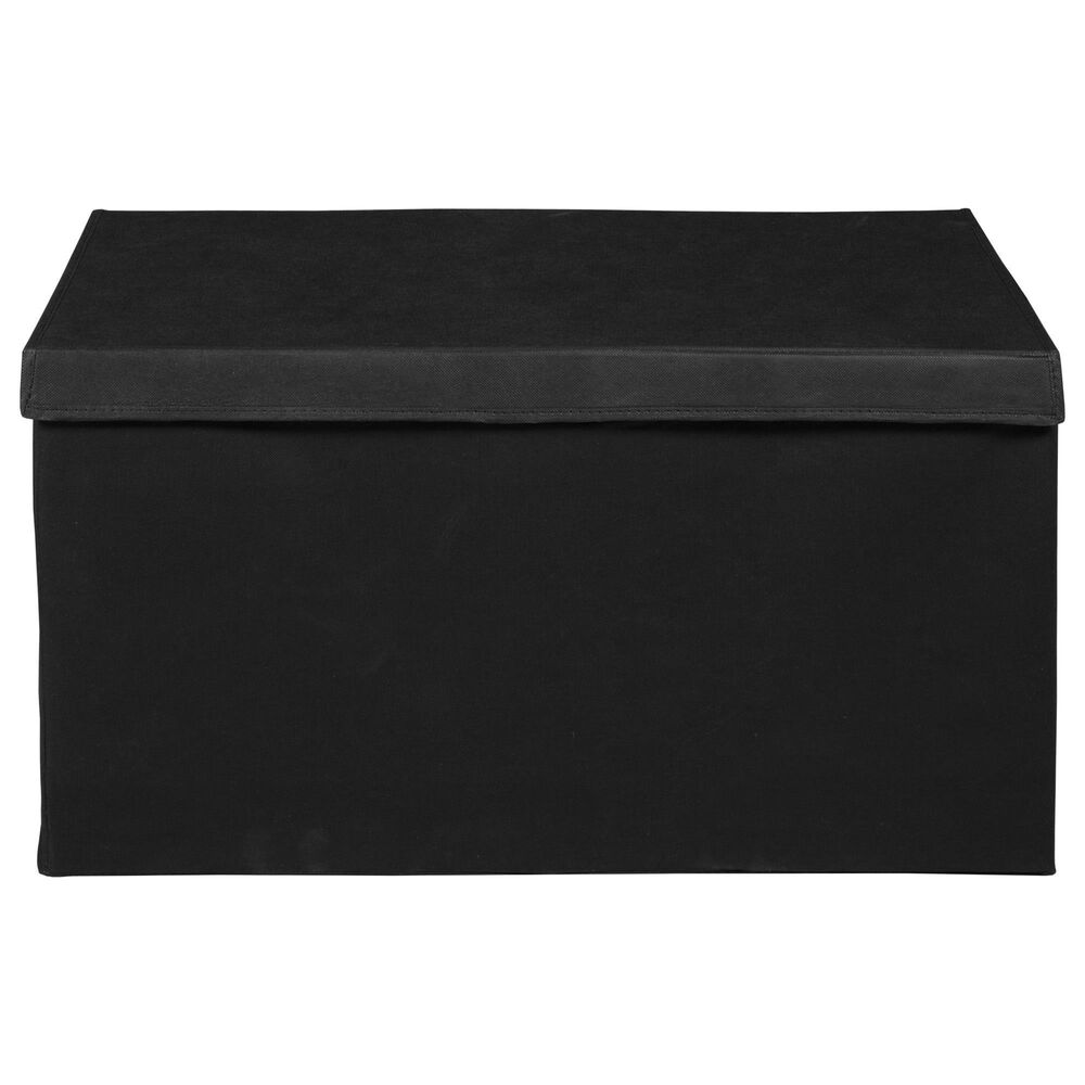 Regency Global Sourcing Niche Cubo Storage Trunk in Black, , large