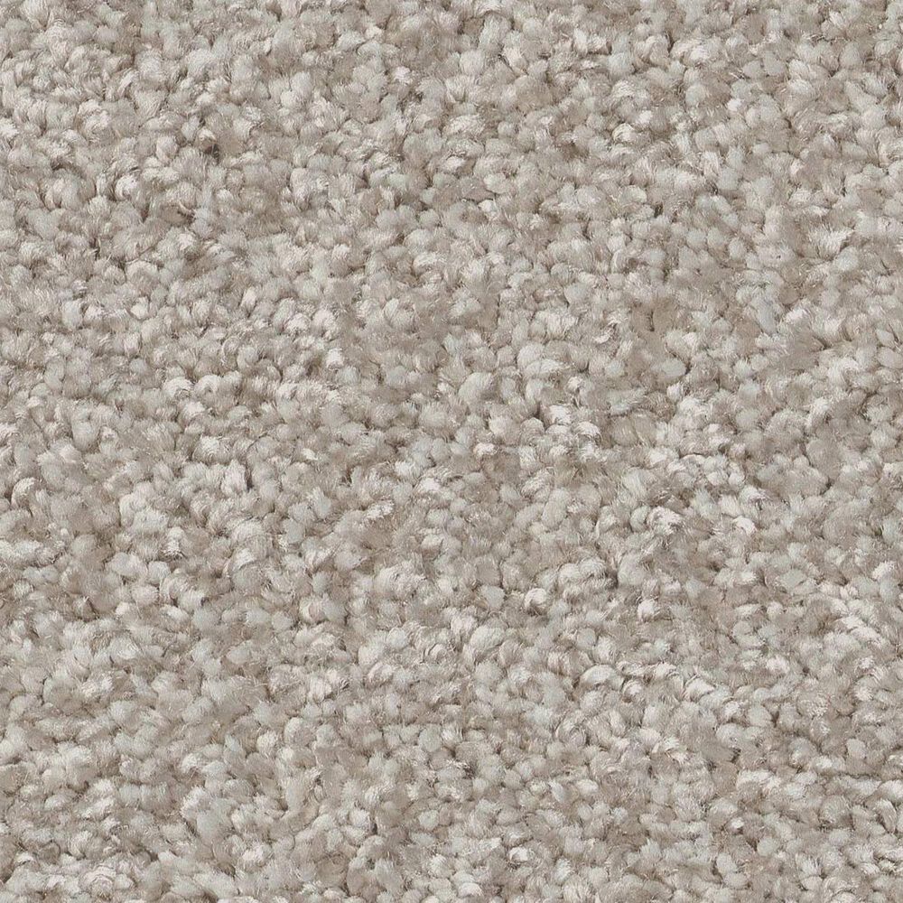 Shaw You Got This III Carpet in Sculpture, , large