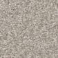 Shaw You Got This III Carpet in Sculpture, , large