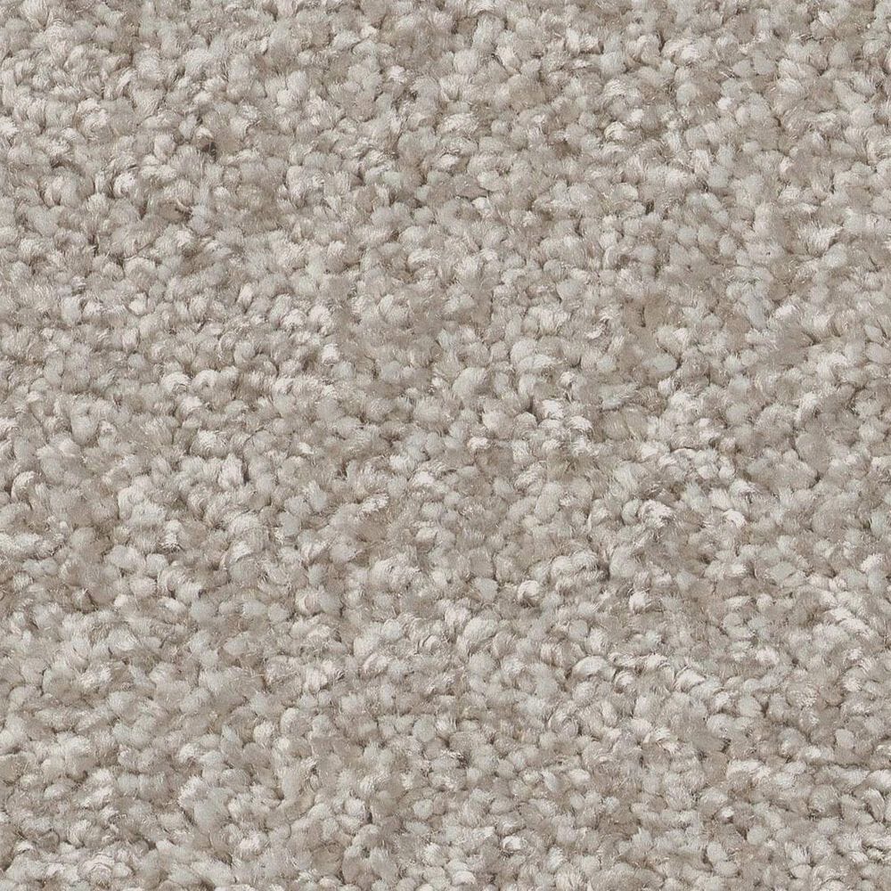 Shaw You Got This III Carpet in Sculpture, , large