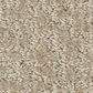 Shaw Bellera Emergence Carpet in Eggshell, , large