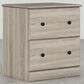 Lemoore Essential 2-Drawer Night Stand in Swedish Grey Elm, , large