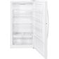 GE Appliances 17.3 Cu. Ft. Frost-Free Upright Freezer Energy Star, , large