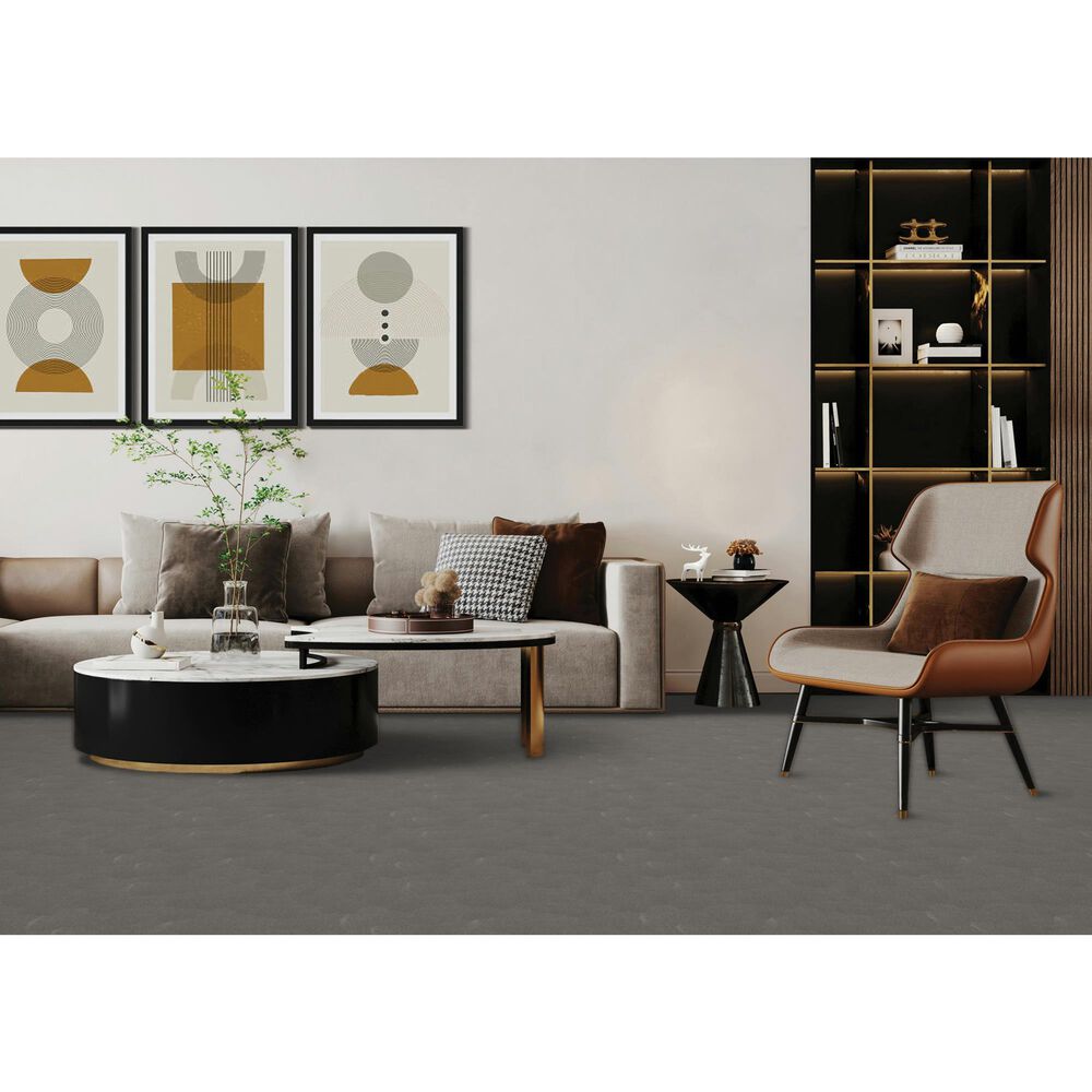 Mohawk Luxuriant Feel Carpet in Highgate, , large