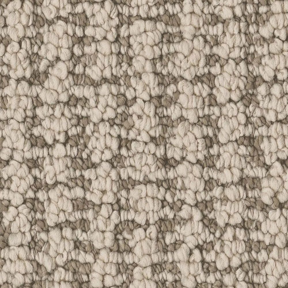 Anderson Tuftex Laine Carpet in Boardwalk, , large