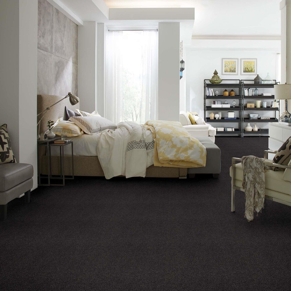 Anderson Tuftex Caress Cozy Harbor I Carpet in Wrought Iron, , large