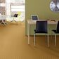Anderson Tuftex Inspired Design Carpet in Turmeric, , large