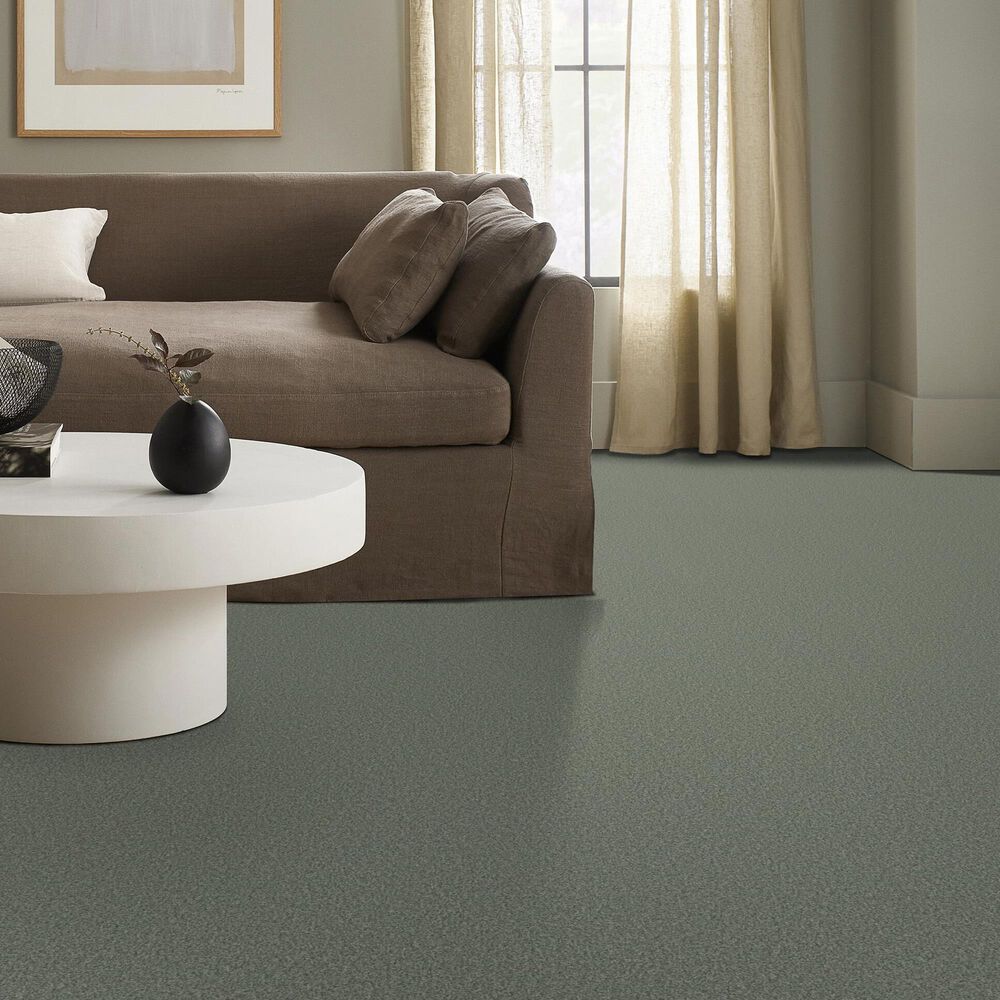 Shaw Tonal Comfort I Carpet in Meadow, , large