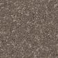 Shaw Hard At Play II Carpet in Cobblestone, , large