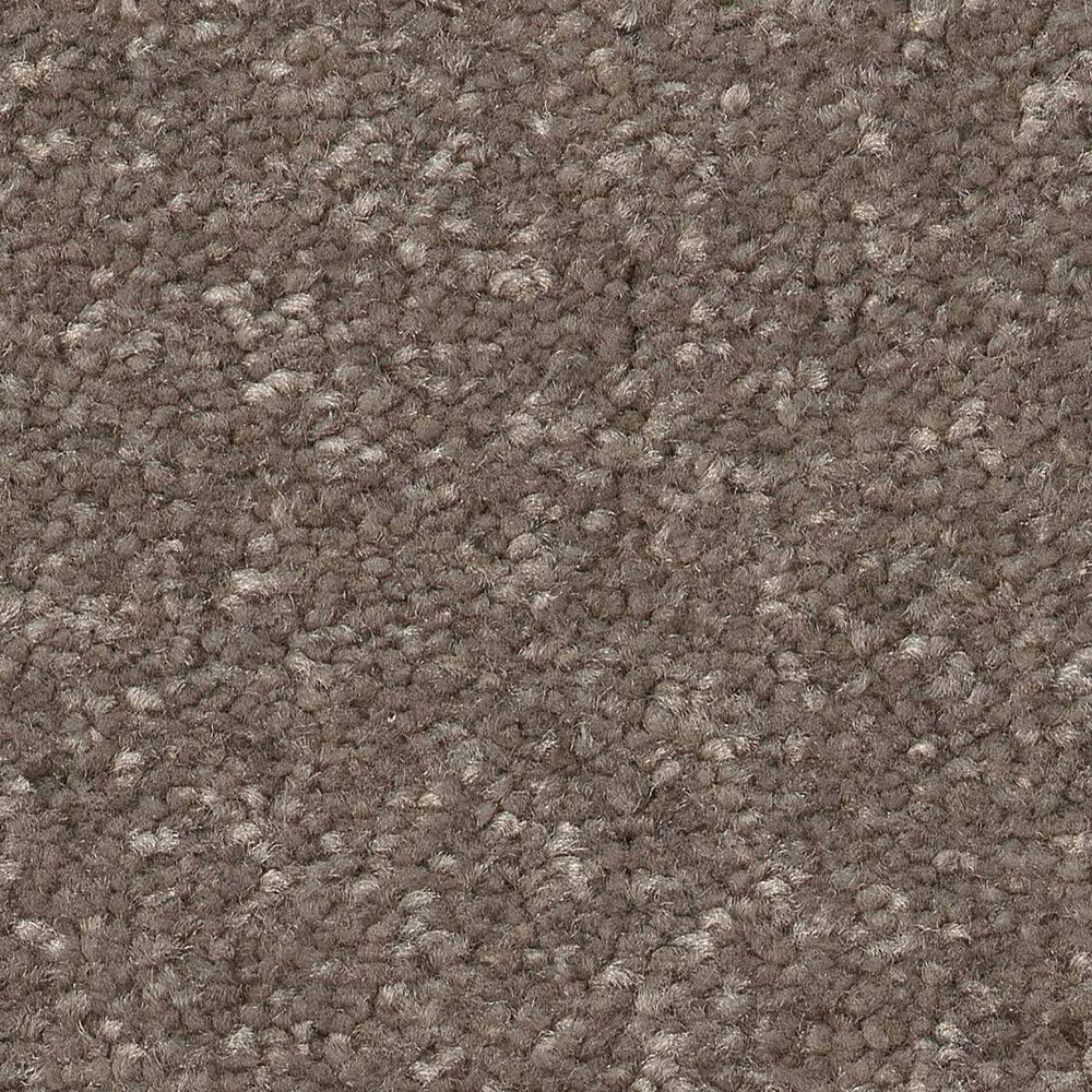 Shaw Hard At Play II Carpet in Cobblestone, , large