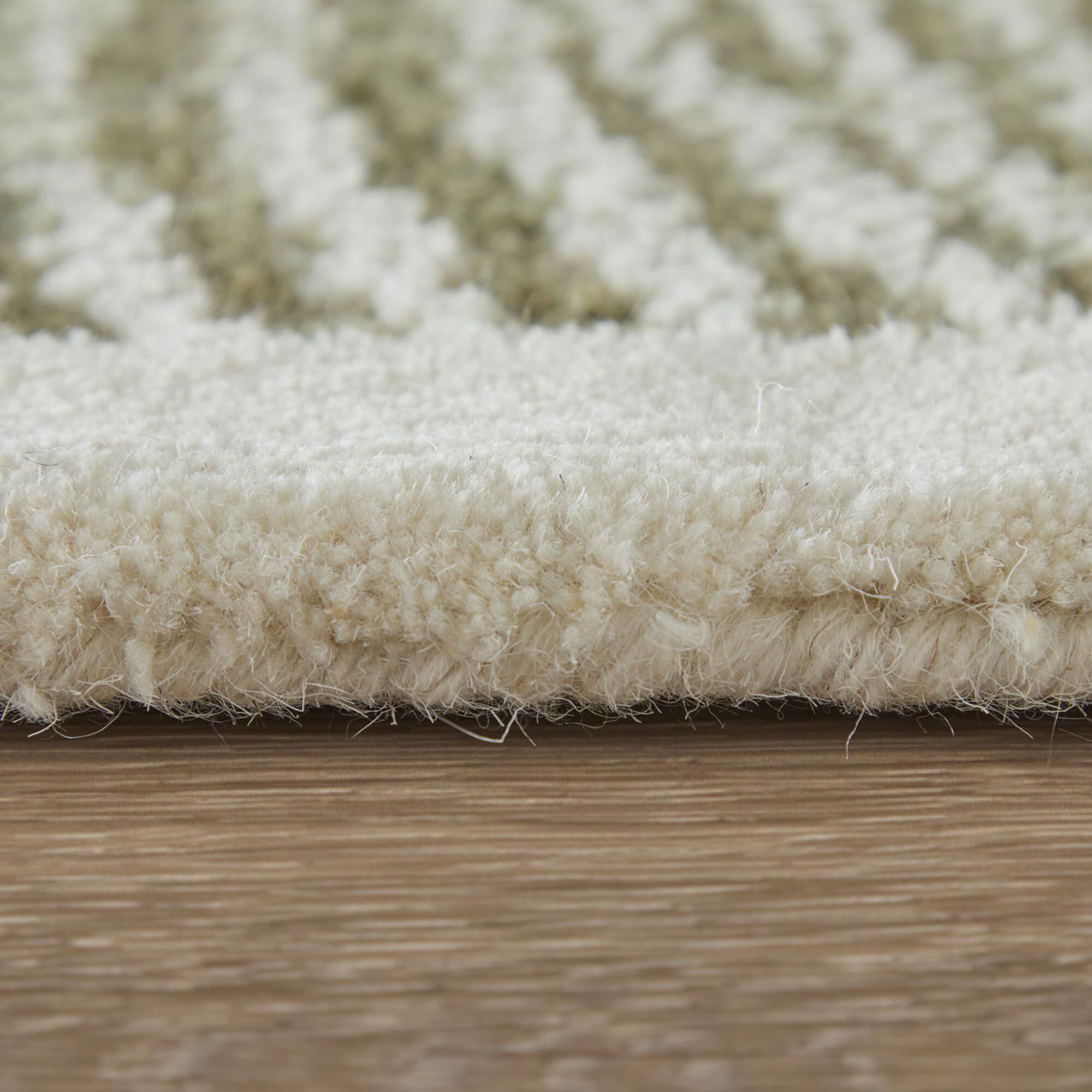 Feizy Winston Green and Ivory 9' x 12' Area Rug