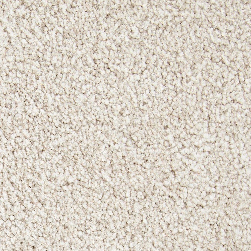 Mohawk Memorable View Carpet in Harmonius, , large