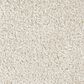 Mohawk Memorable View Carpet in Harmonius, , large