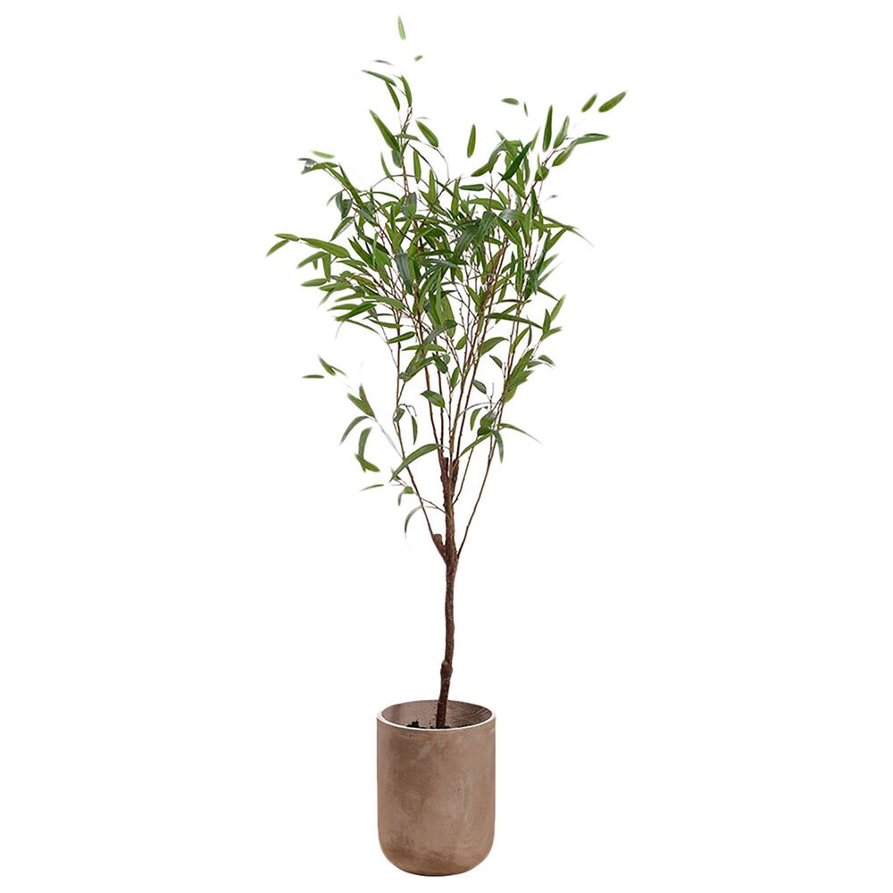 Allstate Floral and Craft Inc 6"6" Silk Bamboo Tree with Planter, , large