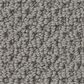 Anderson Tuftex Gracious Carpet in Iron Mountain, , large