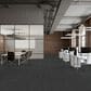 Emser Prodigy Pascal 24" x 24" Matte Porcelain Tile, , large