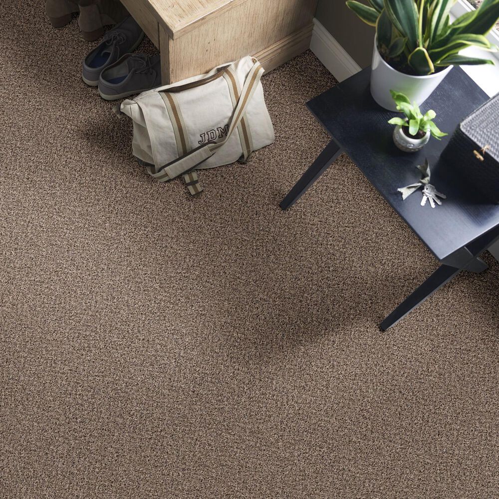 Philadelphia Mixed Essentials Carpet in Primitive, , large