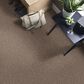 Philadelphia Mixed Essentials Carpet in Primitive, , large