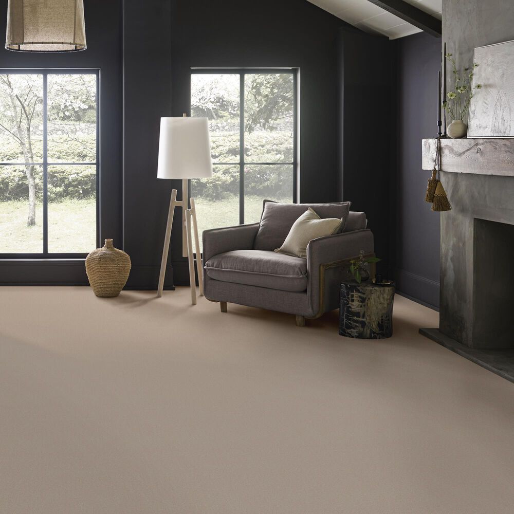 Anderson Tuftex Finery Carpet in Putty, , large