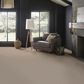 Anderson Tuftex Finery Carpet in Putty, , large