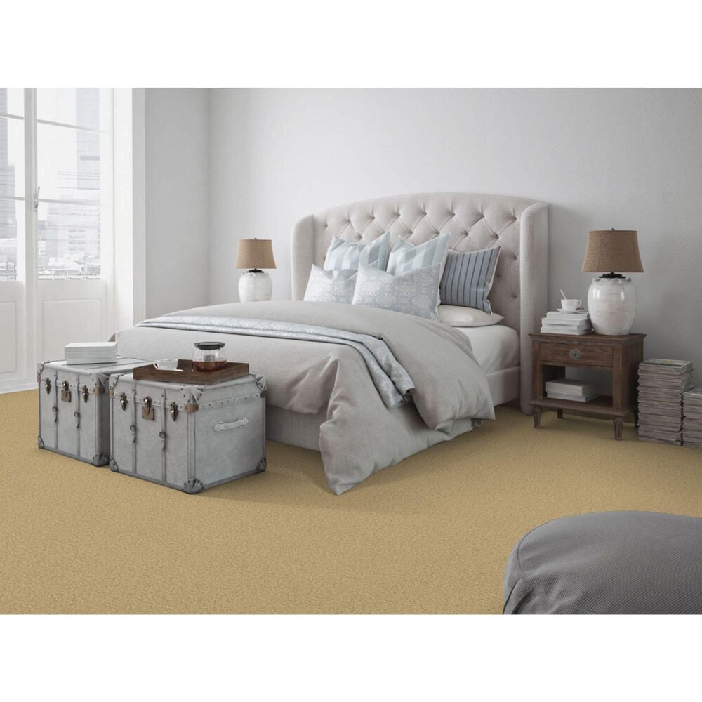 Dixie Home Simplicity Carpet in Pepper Spice, , large