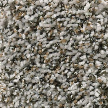 Shaw Break Away Berber Carpet in Fossil, , large