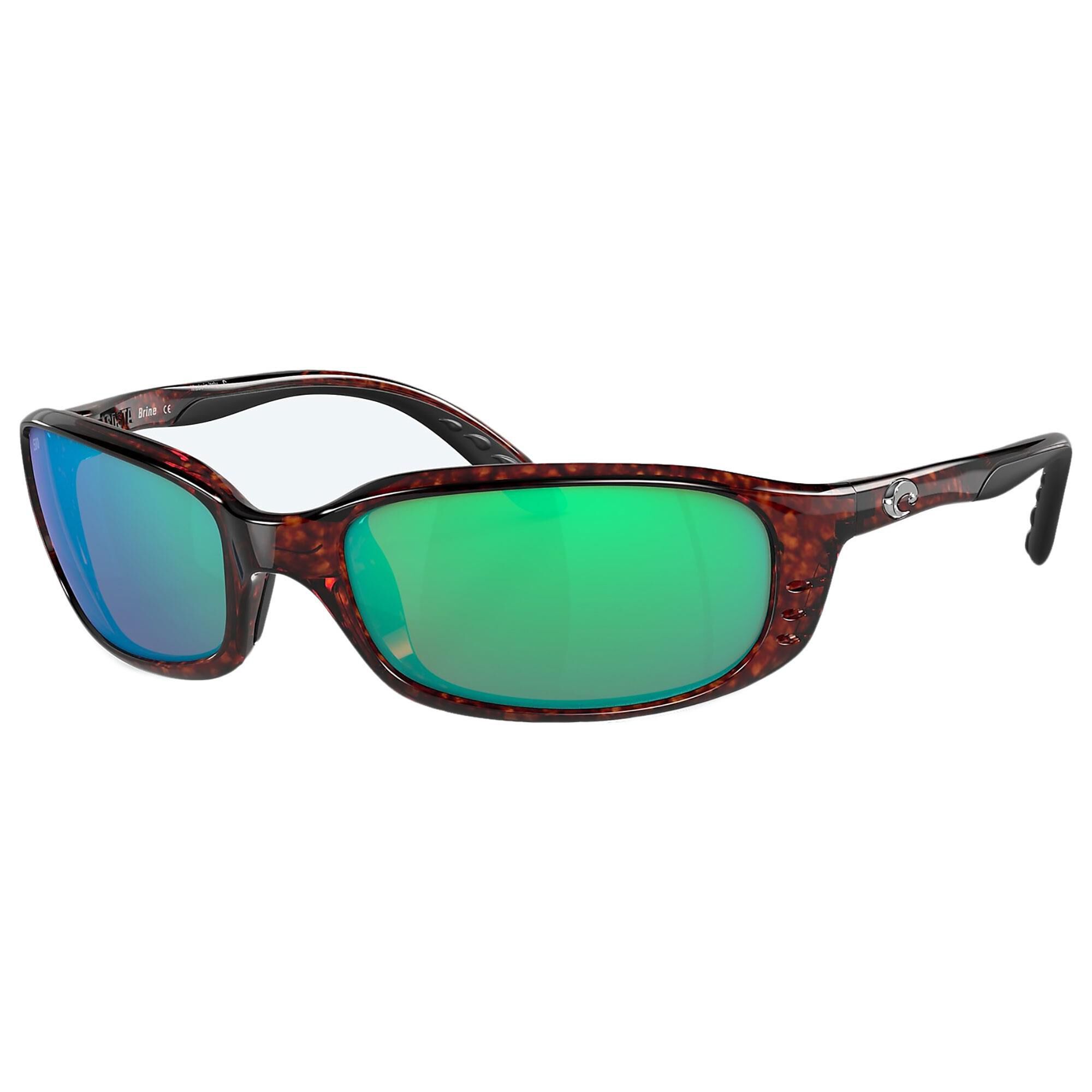 Costa brine tortoise 2025